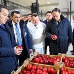 Проблемные вопросы обсудил с сельхозпроизводителями Алматинской области Премьер-Министр РК