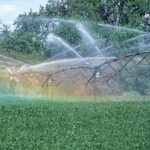 Аграрии Алматинской области за поливную воду платили в три раза дороже