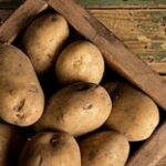 Переработку картофеля не могут наладить в Павлодарской области