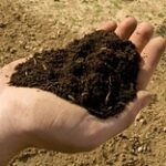 Аграриев будут штрафовать за недостаток гумуса в почве