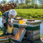 О необходимости субсидирования конечного продукта пчеловодства заговорили предприниматели Актюбинской области