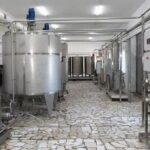 Завод по переработке верблюжьего молока открыли в Туркестанской области