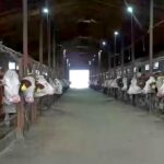 «Сделано в Казахстане» и «Агролизинг»: новые программы господдержки АПК ВКО