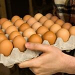 Скандал вокруг куриных яиц: почему производители не получают субсидии и ожидать ли роста цен
