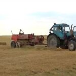 Западноказахстанские фермеры оказались в тяжёлой ситуации
