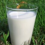 Фермеры выливают свежее молоко на севере Казахстана: нет спроса