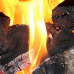 Тепличным хозяйствам Туркестанской области поставят 150 тысяч тонн угля