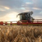 На севере Казахстана аграрии начали жатву: 90% посевов в хорошем состоянии, урожай обещает быть богатым