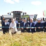 День поля: в Кызылординской области началась массовая уборка риса