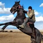 Молодой фермер Нурсултан Сагатбек: Не могу представить свою жизнь без лошадей