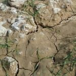 Почва и вода – основа жизни на Земле: конференция ФАО в Астане