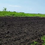 Учёные Казахстана создали удобрение, обогащающее почву до уровня чернозёма