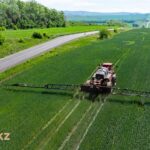 Устойчивое земледелие может повысить эффективность сельской экономики – казахстанские и канадские эксперты АПК