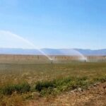 Стоимость поливной воды снизили для аграриев на юге Казахстана