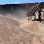 Российское зерно становится привлекательнее в Казахстане, чем своё. Смогут ли власти защитить рынок?