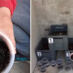 Дождевых червей для переработки отходов КРС выращивает школьник из области Абай