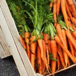 Предприниматели в Павлодарской области попросили выделить субсидии на закуп семян моркови