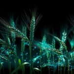 Блокчейн, нейросети и ГМО: что перевернёт игру в сельском хозяйстве в ближайшее десятилетие?