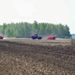 Государственные субсидии: что доступно фермерам