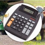 В Казахстане введут гибкие налоговые условия для самозанятых и фермеров