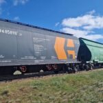 Казахстанское зерно в тренде: спрос растёт даже в Европе и ОАЭ