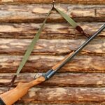 В Казахстане снова будут отстреливать сайгаков