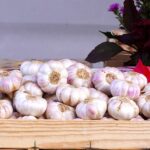 СҚО-да 71 жастағы зейнеткер сарымсақ өсіріп, одан он түрлі өнім алып отыр