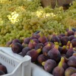 Фрукты из Афганистана предложили импортировать в Казахстан в межсезонье