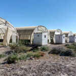 120 теплиц без урожая: в Кызылорде провалился масштабный агропроект