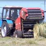 Сенокос в разгаре: аграрии СКО заготавливают корма на зиму