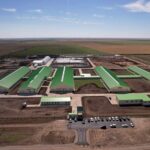 В селе Ефимовка на севере Казахстана строят новую молочно-товарную ферму