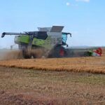 Автоматизация настроек комбайна CLAAS TRION: положительный эффект подтверждён на чечевице