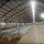 В ВКО строили молочно-товарную ферму без получения экологического разрешения