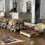 В Западно-Казахстанской области будут перерабатывать более 800 тысяч шкур в год