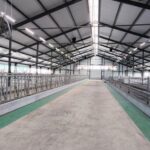 В Костанайской области запустили молочно-товарную ферму на 1200 голов