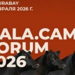 14-15 февраля в Казахстане пройдёт форум по развитию мясного животноводства
