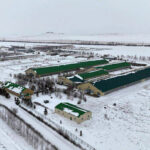 Крупную молочно-товарную ферму построят в Акмолинской области