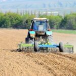 Посевная площадь в Жетісу превысит 511 тысяч га в 2026 году