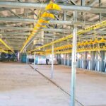 Қызылорда облысында жылына 3,5 мың тонна өнім өндіретін құс фабрикасы іске қосылады