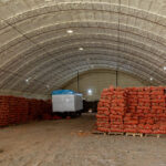 Казахстанские фермеры не могут продать урожай лука даже по минимальной цене