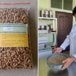 Комбикорма нового поколения для снижения затрат в животноводстве разработают учёные