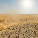 АКК продлила срок страхования посевов от засухи