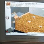 Сберечь картофель и энергию