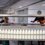 Казахстанская компания намерена поставлять молочную продукцию в соседние страны