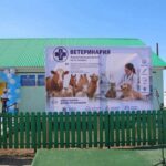 В 7 населённых пунктах ЗКО открыты новые ветеринарные объекты